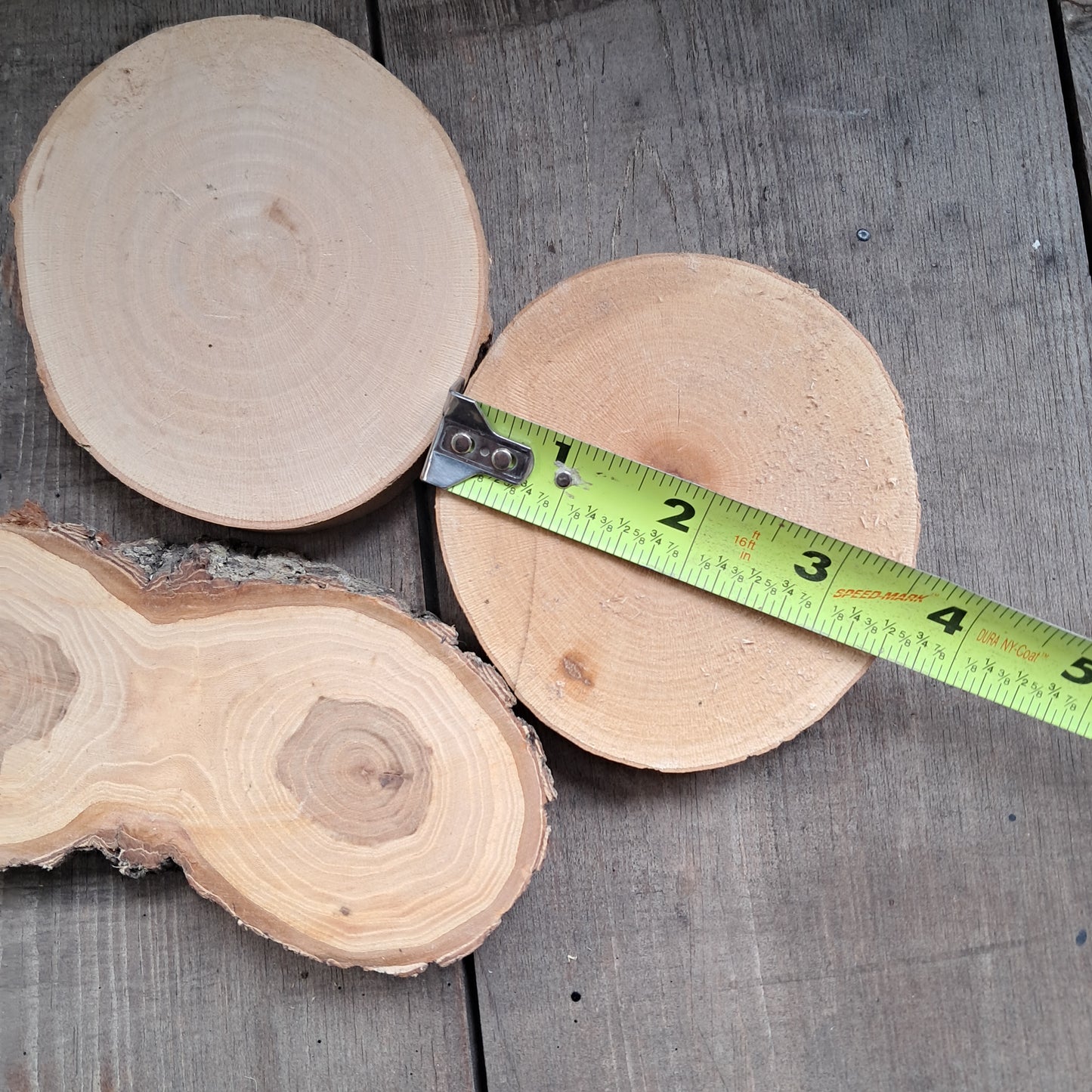 1-3in Tree Slices