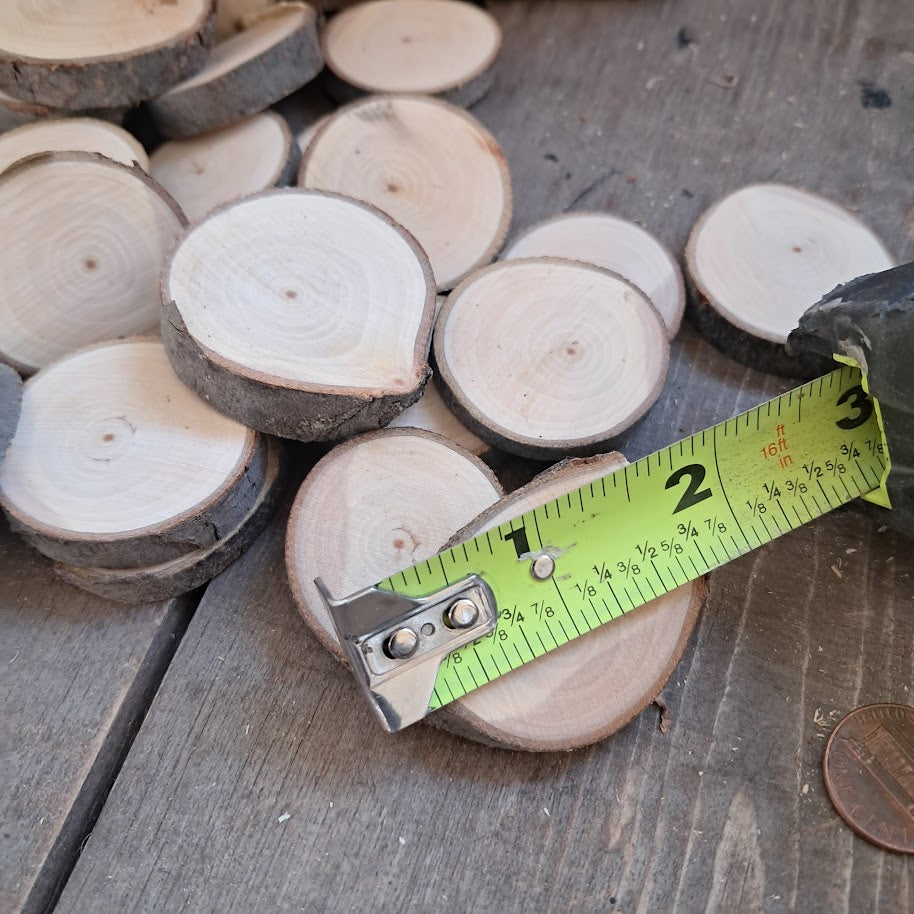 Tree Slices Bundle