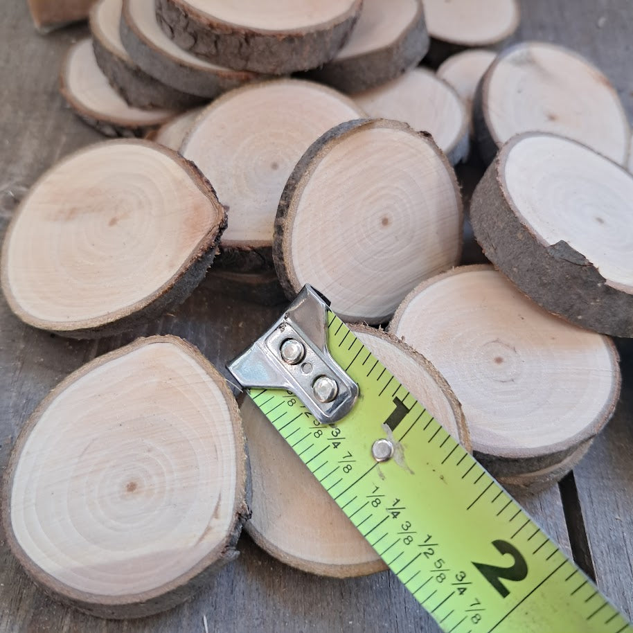 Tree Slices Bundle
