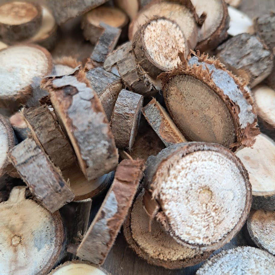 Small Tree Slices Bundle