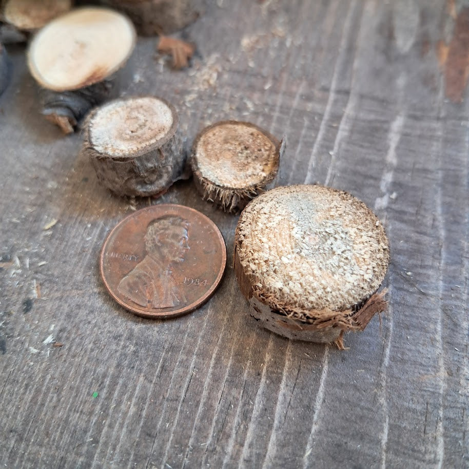 Small Tree Slices Bundle
