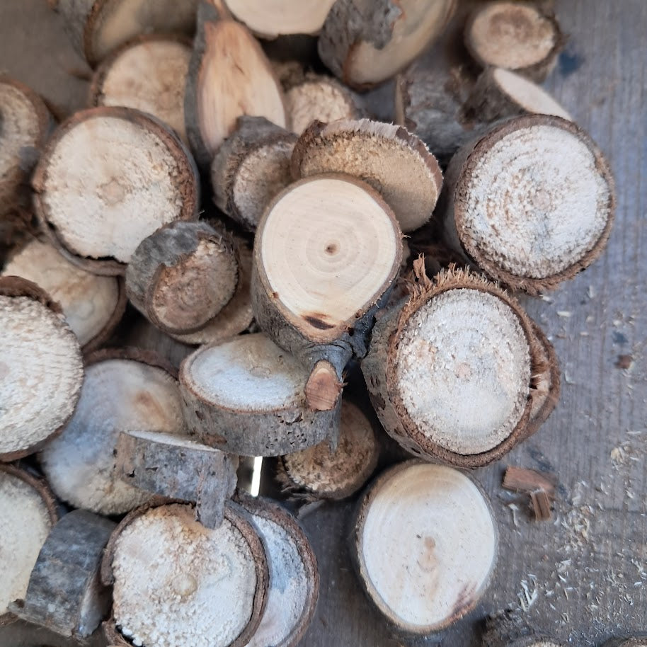 Small Tree Slices Bundle