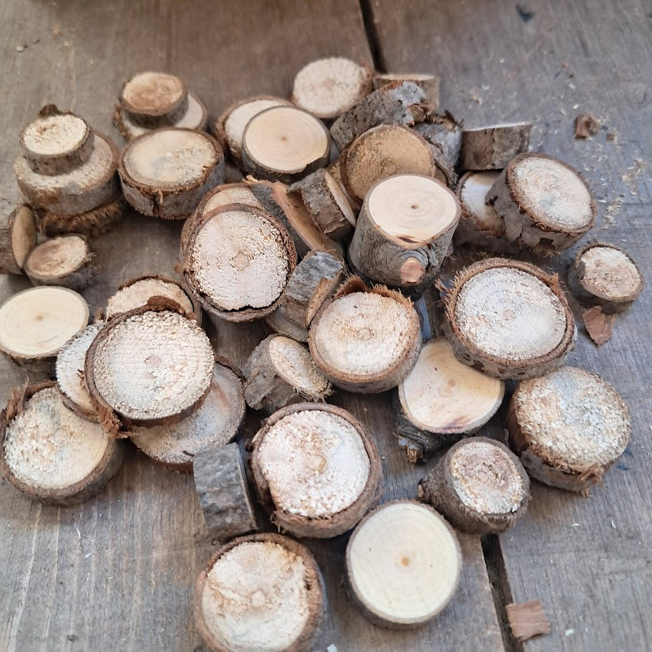 Small Tree Slices Bundle