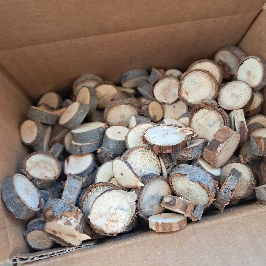Small Tree Slices Bundle