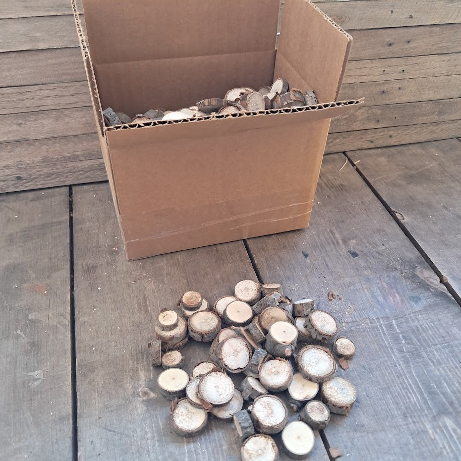 Small Tree Slices Bundle