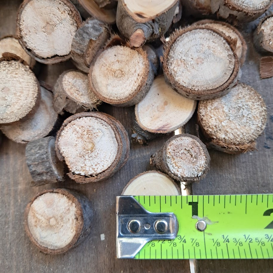 Small Tree Slices Bundle