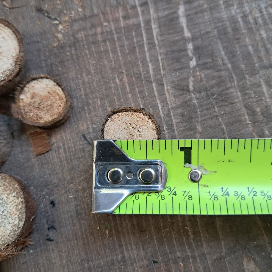 Small Tree Slices Bundle