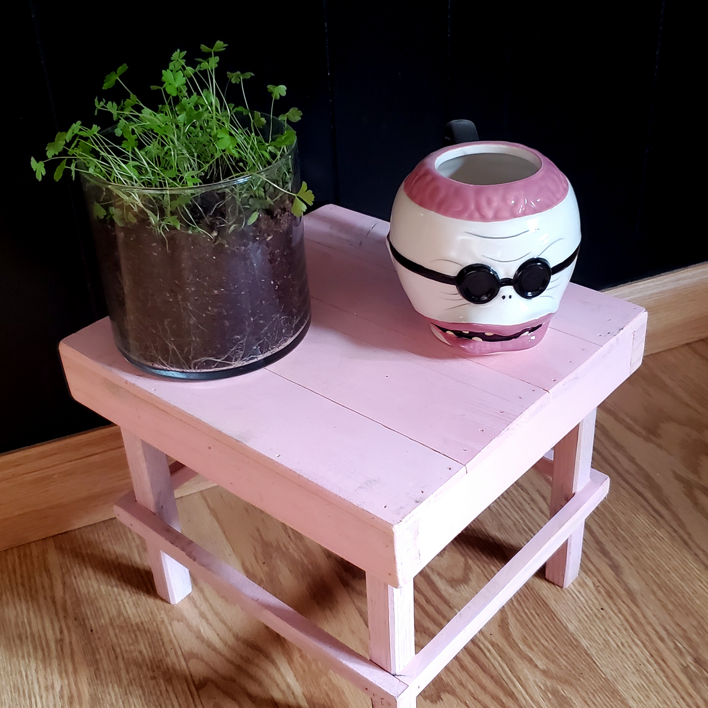 Pink Plant Stand