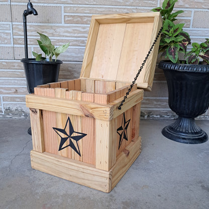 Texas Star Trash Can