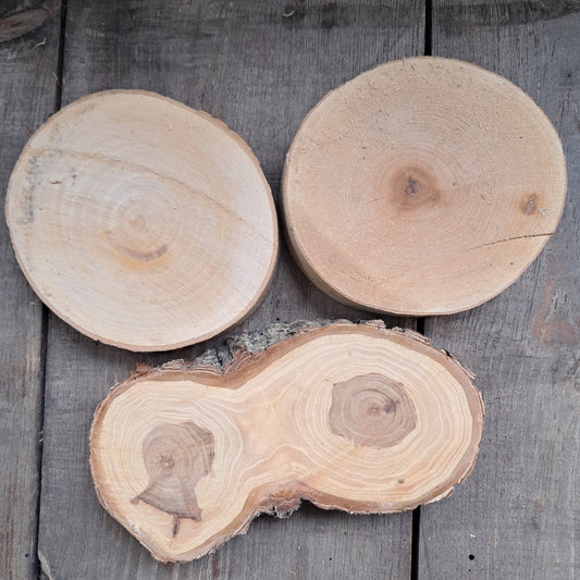 1-3in Tree Slices
