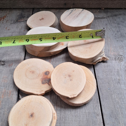 Tree Slices Bundle