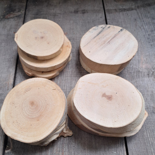 Tree Slices Bundle