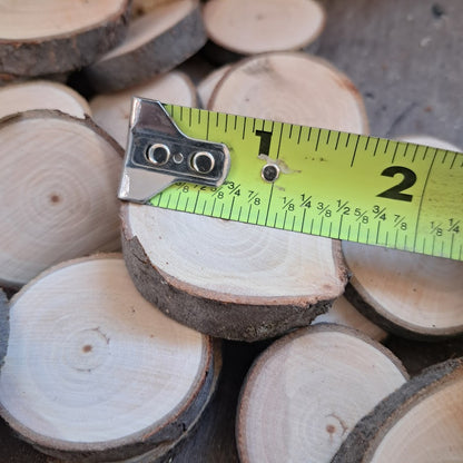 Tree Slices Bundle
