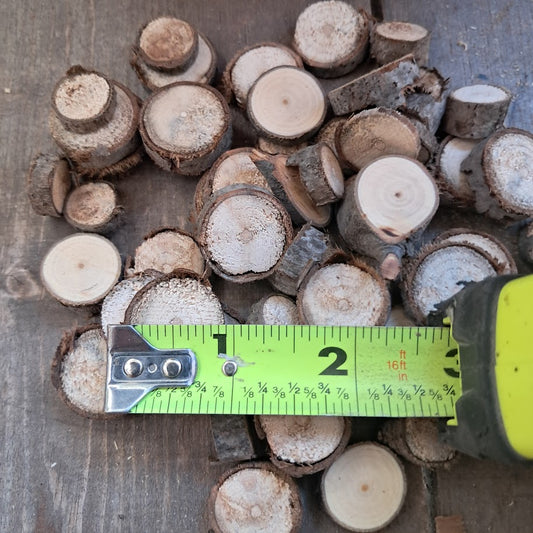 Small Tree Slices Bundle