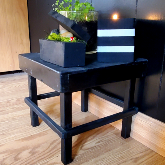 Black Plant Stand or Small Kids Stool